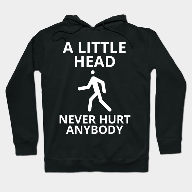 a little head never hurt anybody Hoodie by mdr design